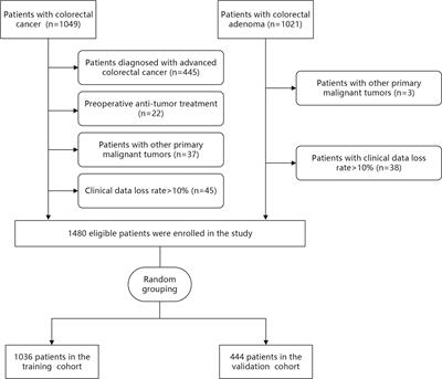 Development and validation of a web-based predictive model for preoperative diagnosis of localized colorectal cancer and colorectal adenoma